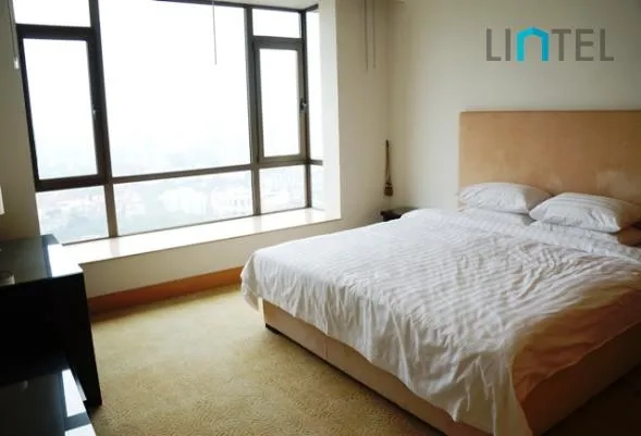 Penthouse Central Residence II(20)