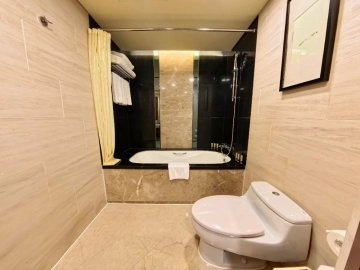 Rm 标准豪华行政两居 Ascott Huaihai Road(9)