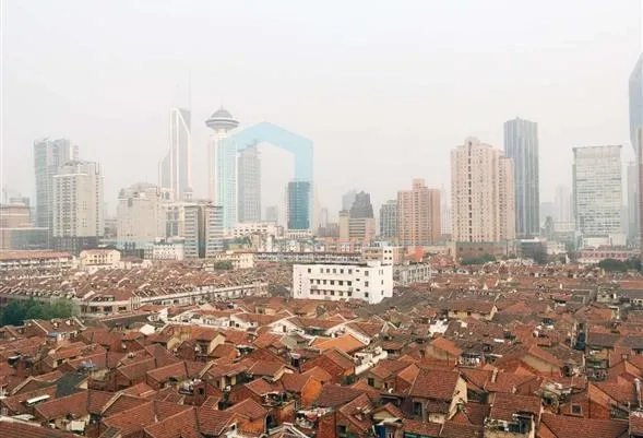 Rm 1001 No 3 Shanghai Tan Xin Chang Cheng(9)