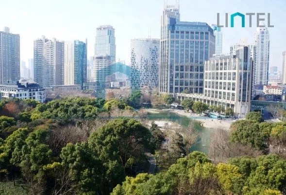 Rm 1002 No 2 Lakeville Regency(5)