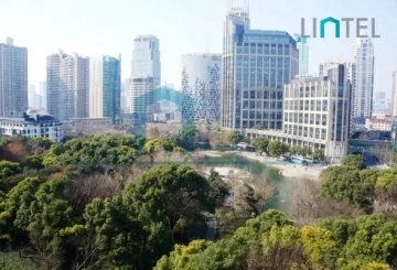 Rm 1002 No 2 Lakeville Regency(5)