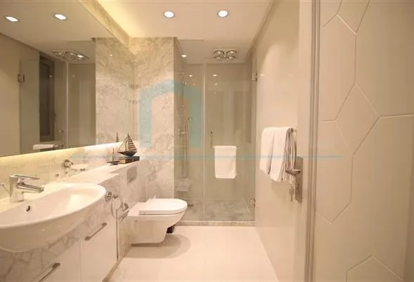 Rm 1002 No 5 Jing'an Four Seasons(9)