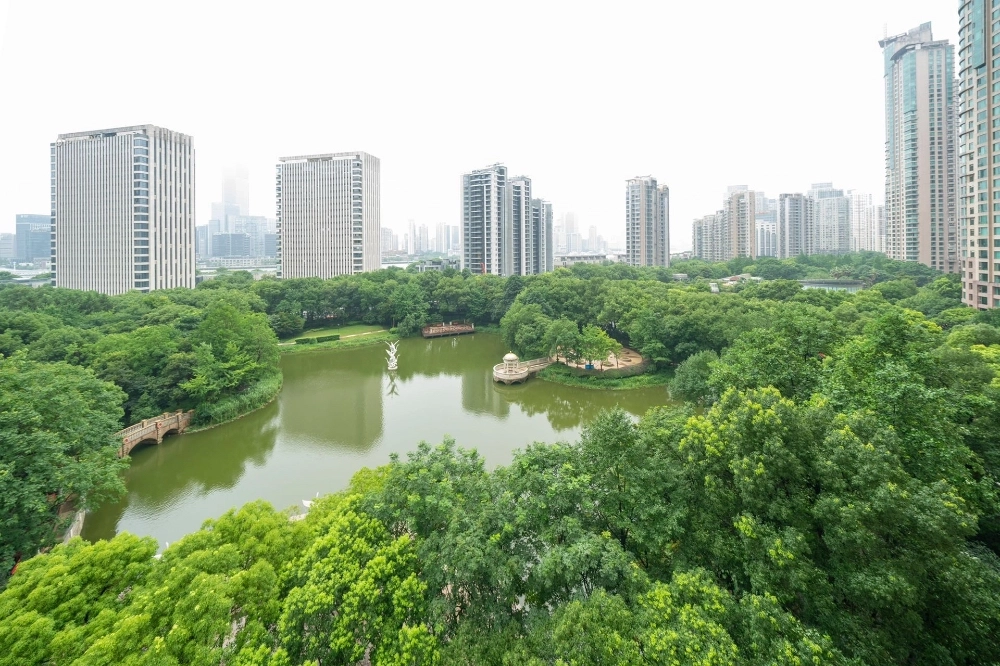 Rm 10H Unit 4 No 3 Shimao Riviera(2)