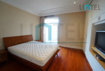 Rm 1102 No 1 Champs Elysees(12)