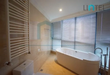 Rm 1102 No 16 Meihua Garden(16)