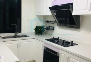 Rm 1102 No 33 Shanghai Greentown(4)