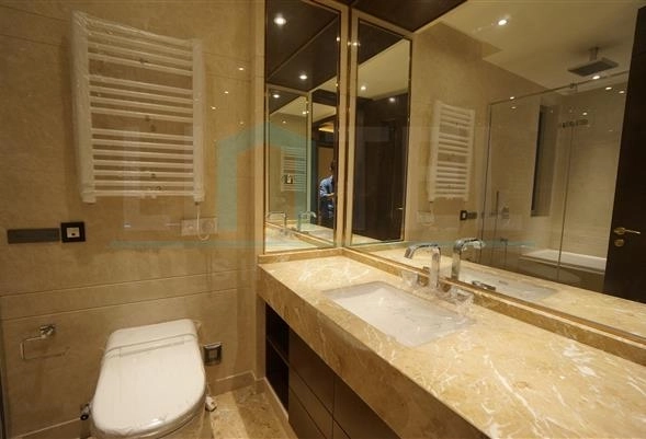 Rm 1102 No 7 Fuxing Royale South(9)