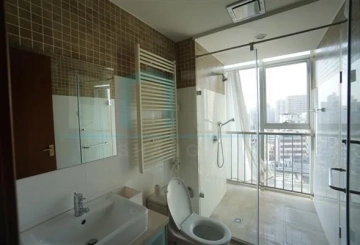 Rm 1501 No 3 Crystal Pavilion(11)