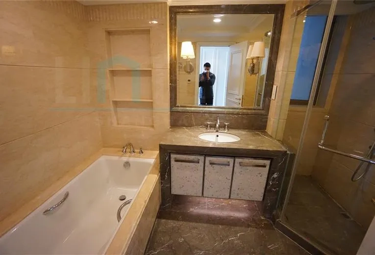 Rm 1601 No 2 The Palace I(7)