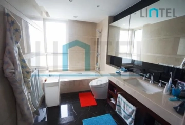 Rm 1601 No 3 The Paragon(13)