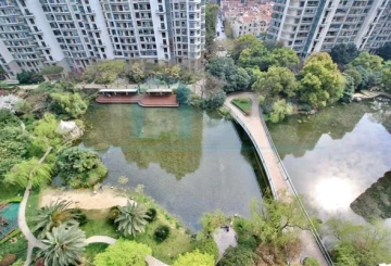 Rm 16B No D9 Top of City(4)