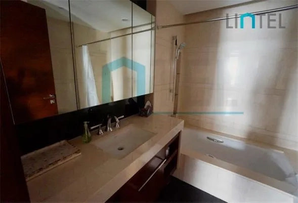 Rm 1701 No 1 The Paragon(11)
