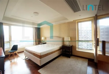 Rm 1701 No 1 The Paragon(6)