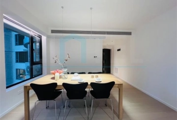 Rm 1706 No 10 Century Metropolis(3)