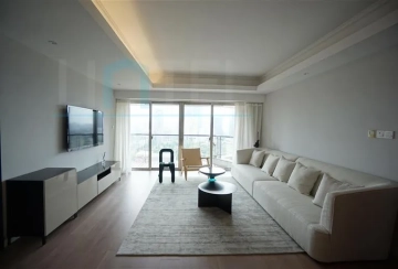 Rm 19B City Apartment