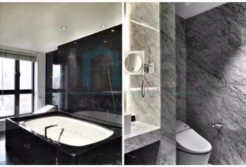 Rm 2001 No 3 Lakeville Regency(5)