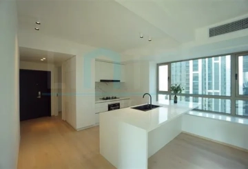 Rm 2001 No 5 Jing'an Four Seasons(7)