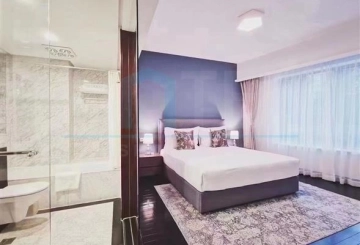 Rm 201 No 9 Jing'an Four Seasons(4)