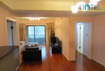 Rm 202 No 1 City Castle(2)