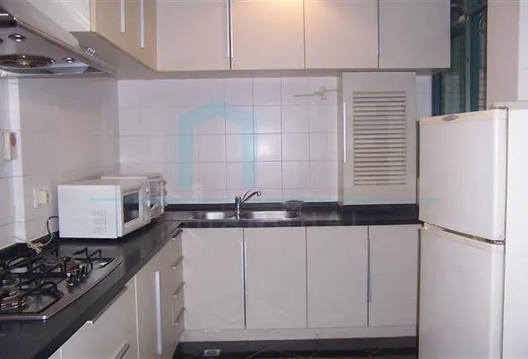 Rm 202 No 11 Century Metropolis(2)