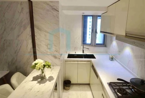 Rm 2102 No 116 The 1st ACME City Apartment(4)
