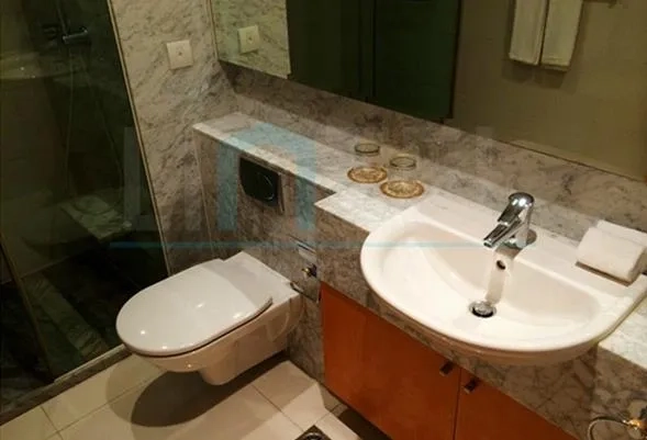 Rm 2103 No 3 Jing'an Four Seasons(10)