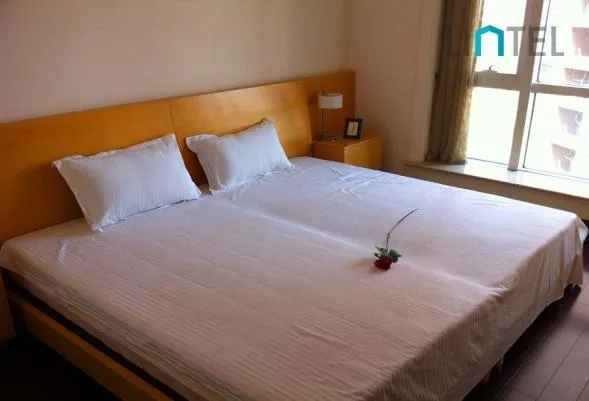Rm 2202 No 7 Central Park(10)