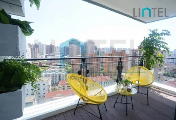 Rm 2304 No 11 Century Metropolis(4)