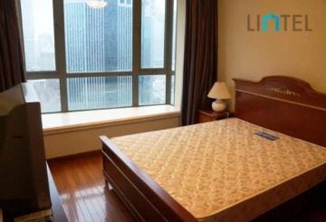 Rm 23A No D11 Top of City(11)