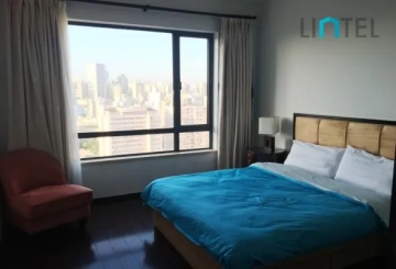 Rm 26C No 6 City Condo(8)