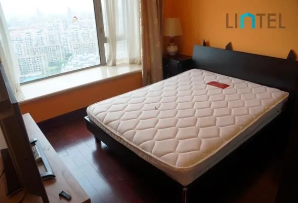 Rm 3001 No 6 Shimao Lakeside Garden(14)