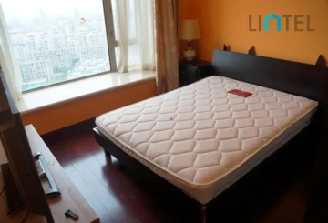 Rm 3001 No 6 Shimao Lakeside Garden(14)