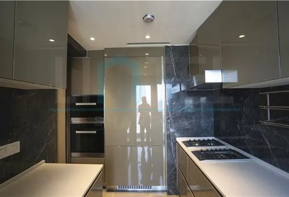 Rm 3001 No 7 Nove Mansion(7)