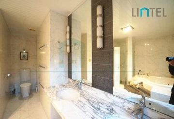 Rm 301 No 10 Green Court I(16)