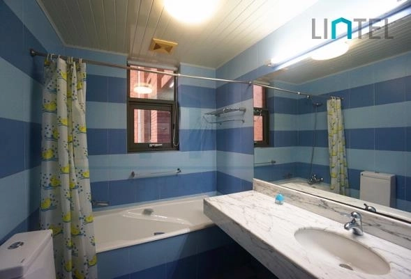 Rm 301 No 10 Green Court I(20)