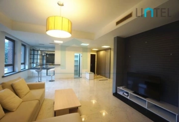 Rm 301 No 10 Green Court I(5)