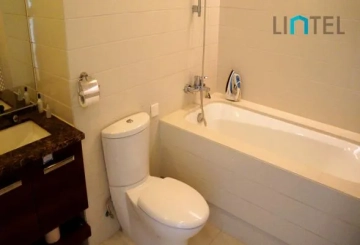 Rm 301 No 2 Casa Lakeville(11)