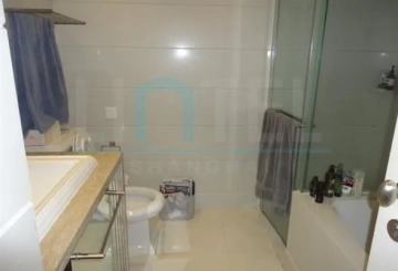Rm 301 No 21 Lakeville Regency(4)