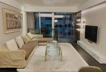 Rm 301 No 30 OCT Suhe Creek Phase II