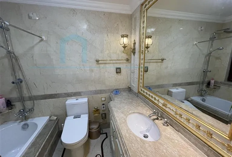 Rm 301 No 36 Palacio de Madrid(8)