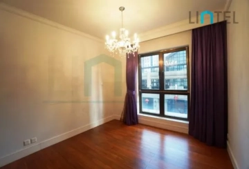 Rm 301 No 5 Lakeville Regency(12)