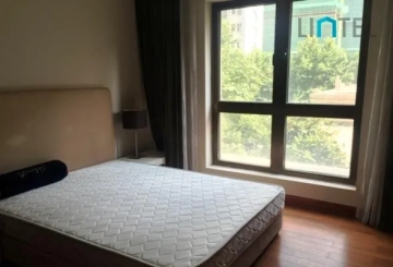 Rm 301 No 8 Lakeville Regency(7)