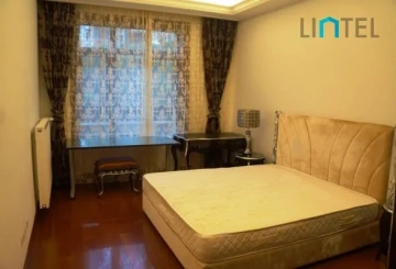 Rm 301 No B Lyceum Mansion(10)