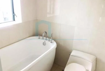 Rm 3206 No 10 Century Metropolis(5)