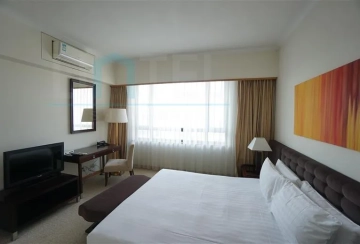 Rm 33B No 88 Arcadia Apartments(8)