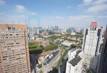 Rm 33C No 88 Arcadia Apartments(3)