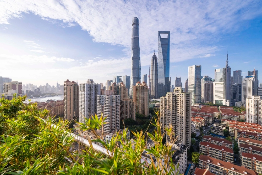 Rm 3401 No 3 Chrysanthemum Park(12)