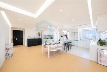 Rm 37A No 7 City Condo(5)