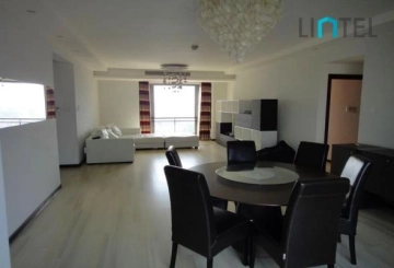 Rm 3901 No 1 The Summit(3)