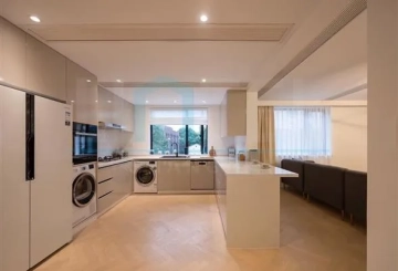 Rm 3D Gao Xin Apts(4)